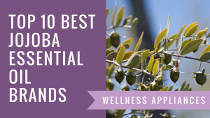 Top 10 Best Jojoba Essential Oil Brands